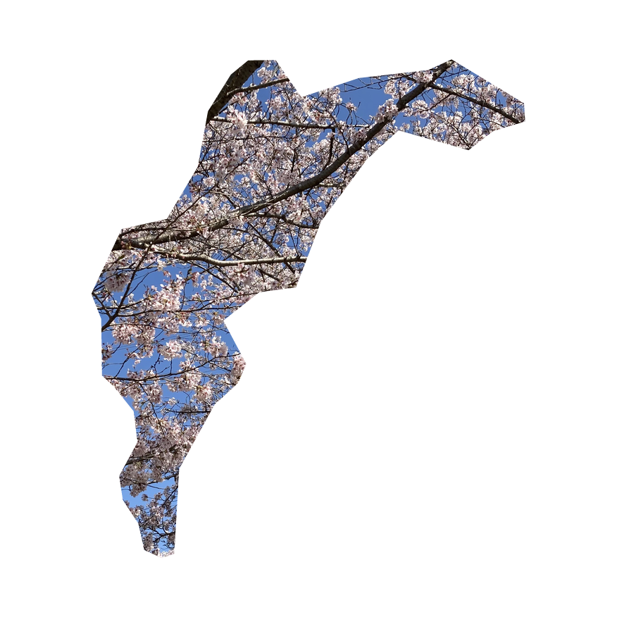 38.愛媛県