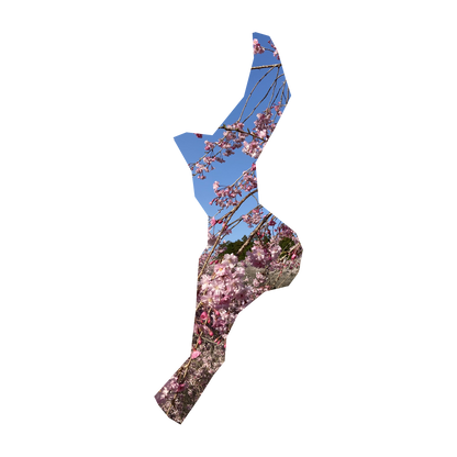 24.三重県